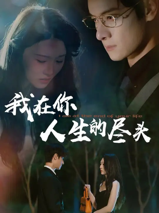 我在你人生的尽头