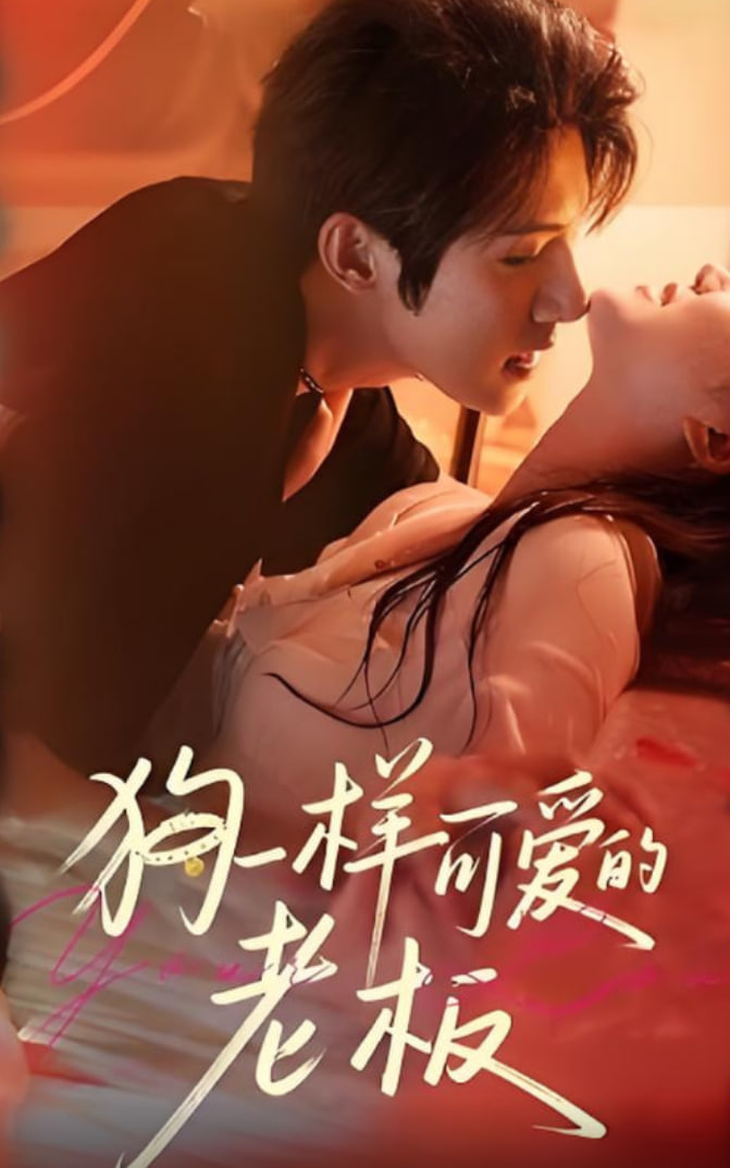 狗一样可爱的老板