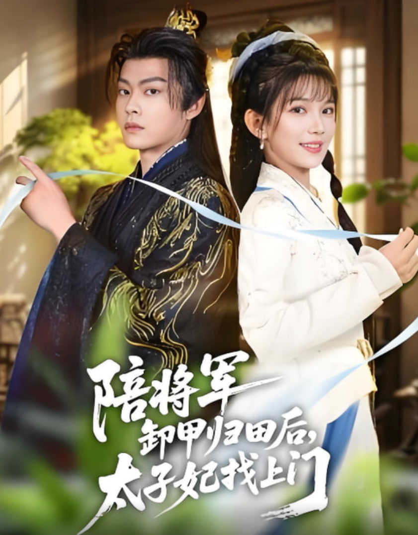 陪将军卸甲归田后，太子妃找上门