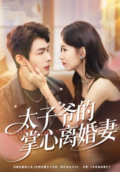 太子爷的掌心离婚妻