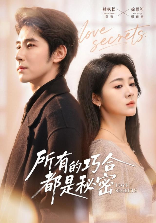 所有的巧合都是秘密（陆总夫人她只想离婚）