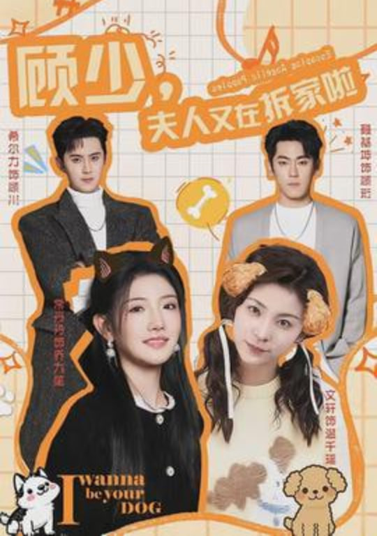 顾少，夫人又在拆家啦